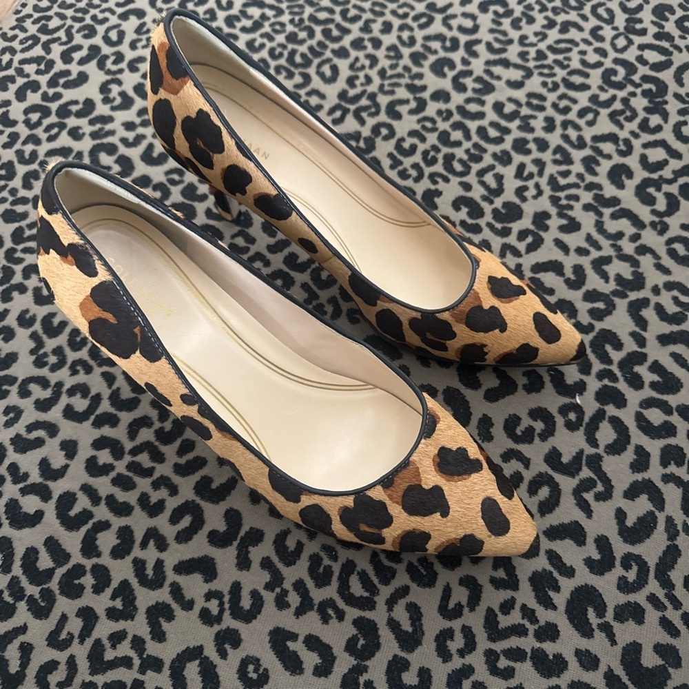 Leopard Print Pointed Toe Women’s Heels - Black & Tan